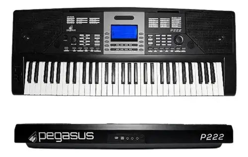 Teclado Sintetizador Pegasus P222 61 Teclas Ritmos Brasileiros