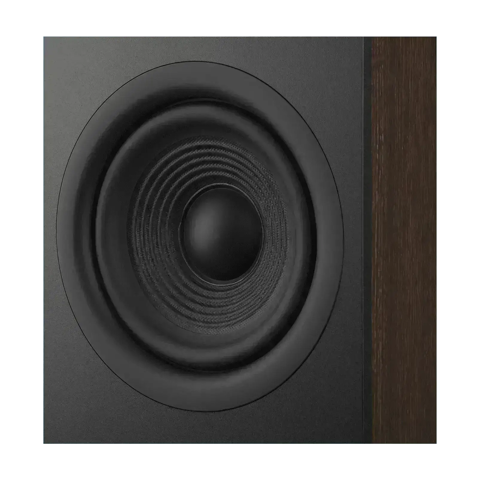 Caixa de Som torre JBL Stage 260F Preta 225W RMS (UN) - Shop Mundo Digital