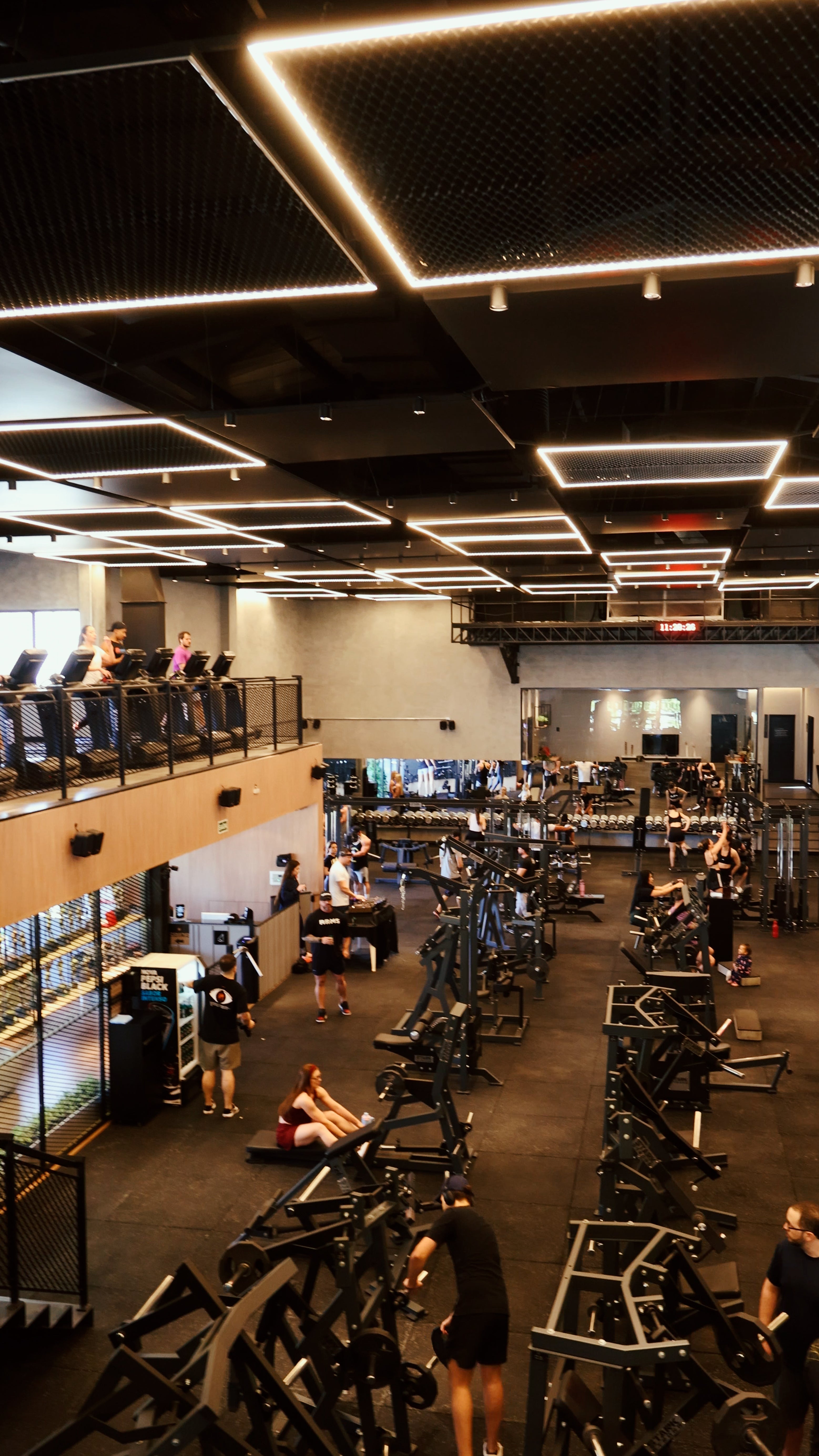 Arms Gym & Shop SMD